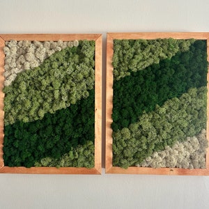 Moss Wall Art | Preserved Moss Framed | Moss Wall Decor | Moss Wall Art | Set of 1 - 4 | Rectangle Wood Frame | Dark Green, Mint and White