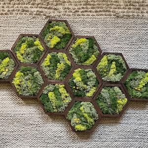 Moss Wall Art | Honeycomb Moss Decor | Single to Set of Twelve | Wood Hexagon  | Preserved Moss | Live Moss | Green with Preserved Flowers