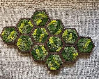 Moss Wall Art | Honeycomb Moss Decor | Single to Set of Twelve | Wood Hexagon  | Preserved Moss | Live Moss | Green with Preserved Flowers