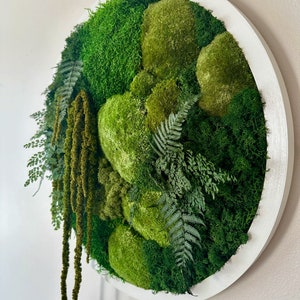 Moss Wall Art Circle Frame | Preserved Moss Art Framed | Moss Wall Decor  | Size is 20&quot; | Reindeer & Sheet Moss | Christmas Gift