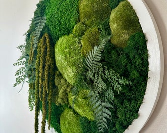 Può includere: Un'opera d'arte murale rotonda con cornice bianca che presenta una varietà di muschio verde e felci conservati. Il muschio è disposto in un motivo naturale e organico, creando un pezzo testurizzato e visivamente accattivante.