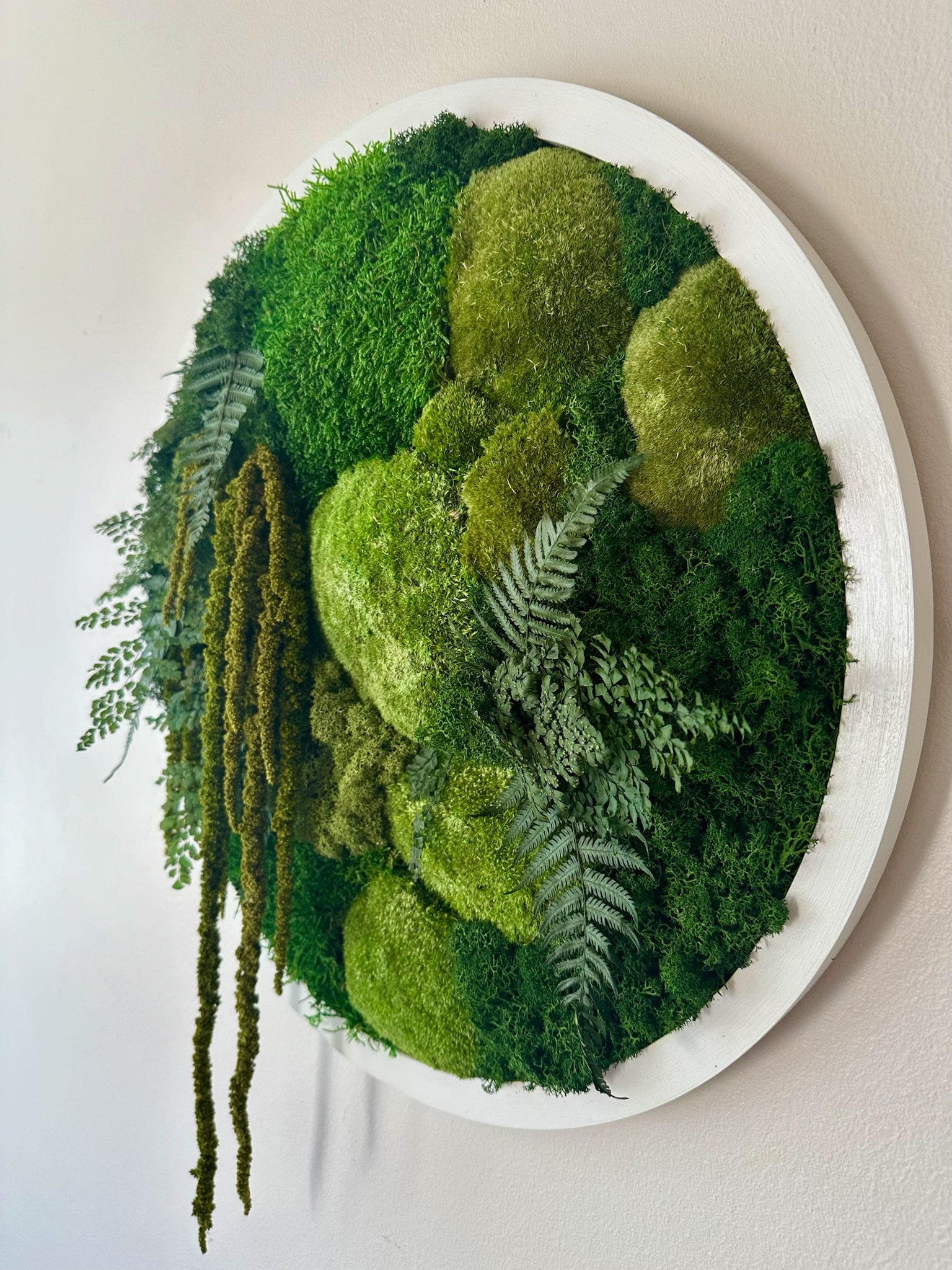 Moss Wall Art Circle Frame | Preserved Moss Art Framed | Moss Wall Decor  | Size is 20" | Reindeer & Sheet Moss | Christmas Gift