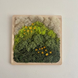 Moss Wall Art | Preserved Moss Art Framed | Square Wood Frame | Green and White with Preserved Flowers