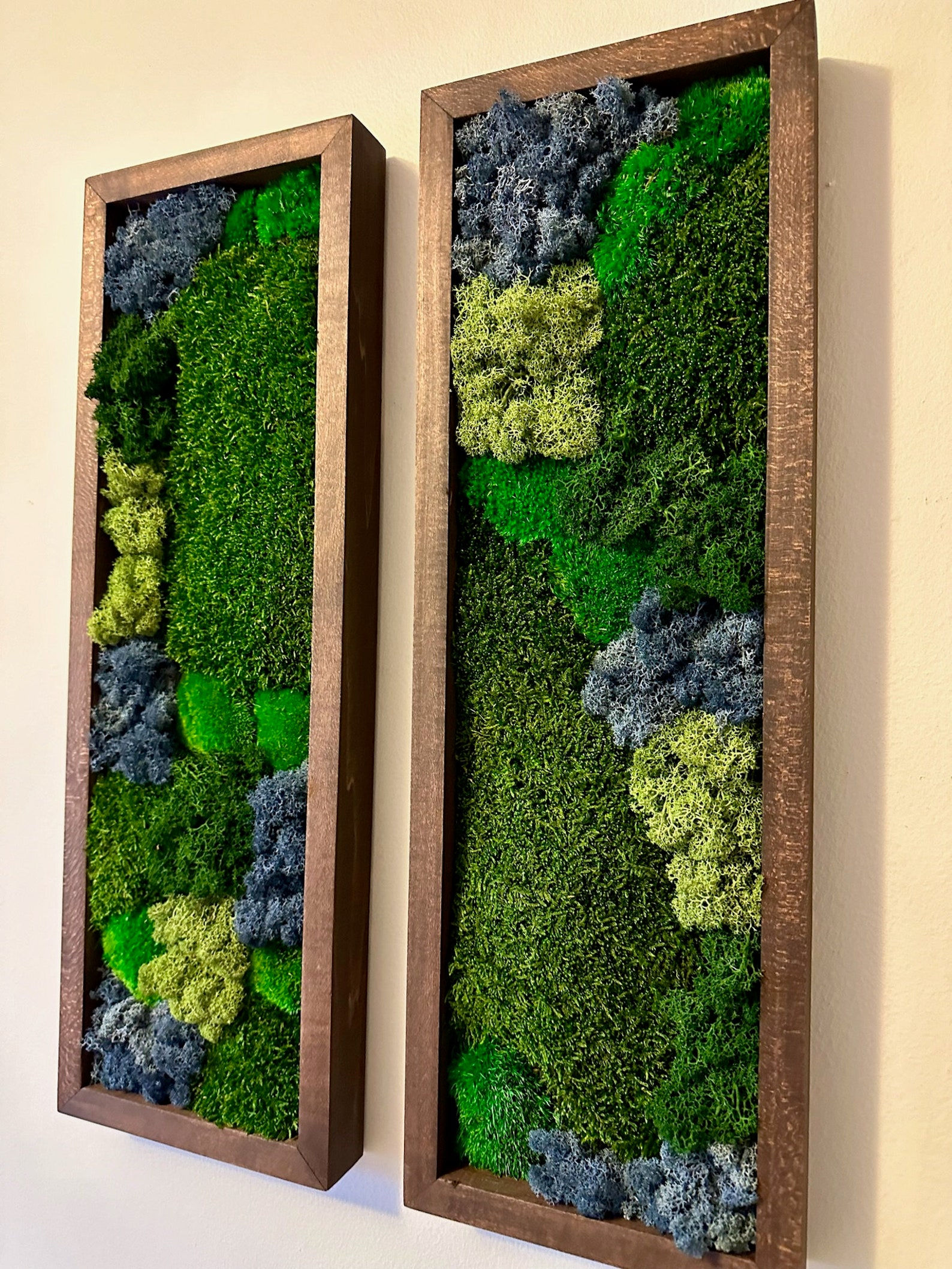 Moss Wall Art Preserved Moss Art Framed Moss Wall Decor Moss Wall Sets moss-wall-art-preserved-moss-art-framed-moss-wall-decor-moss-wall-sets