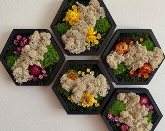 May include: Five hexagonal wall decor pieces with black frames. Each frame contains preserved moss, dried flowers, and greenery. The flowers are in shades of yellow, pink, red, and orange.
