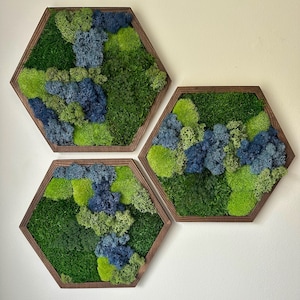 Décoration murale nid d'abeille mousse | Décoration artistique en mousse | Cinq tailles différentes | Hexagone en bois | Aucun tarif sur les commandes aux États-Unis