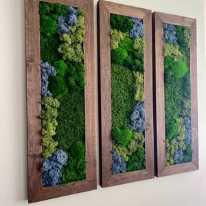 Moss Wall Art | Preserved Moss Art Framed | Moss Wall Decor | Moss Wall Sets | Large Rectangle Single to Six Set | Reindeer Moss Pole Moss