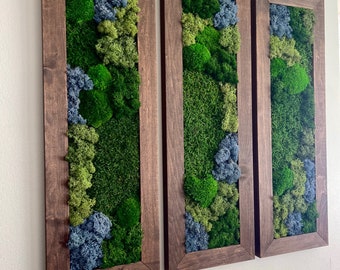 Moss Wall Art | Preserved Moss Art Framed | Moss Wall Decor | Moss Wall Sets | Large Rectangle Single to Six Set | Reindeer Moss Pole Moss