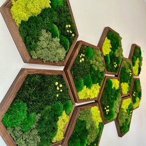 May include: A wall decor piece made of preserved moss in various shades of green and yellow, arranged in a honeycomb pattern within wooden frames.