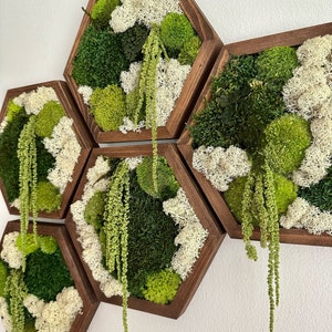 Moss Wall Art Decor | Handmade Wood Hexagon | Single Set to Six (8" x 9") or (10” x 11.6”)  | Preserved Lichen, Pole, Sheet Moss & Fern
