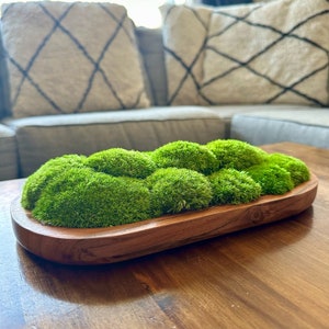 Moos Herzstück | Stabmoos | Moos Pflanzschale | Konservierte Moos Geschenk | Holz Natur Schale | Grün Pole Moos | Hochzeitsgeschenk | Hochzeit Herzstücke