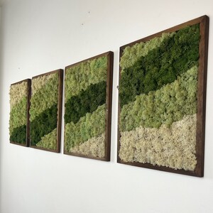 Moss Wall Art | Preserved Moss Framed | Moss Wall Decor | Moss Wall Art | Set of 1 - 4 | Rectangle Wood Frame | Dark Green, Mint and White