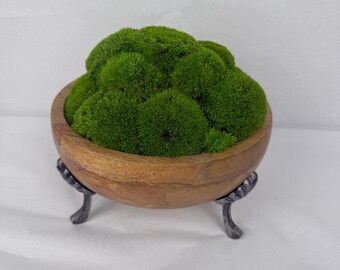 Preserved Moss Centerpiece | Pole Moss in Wood Bowl