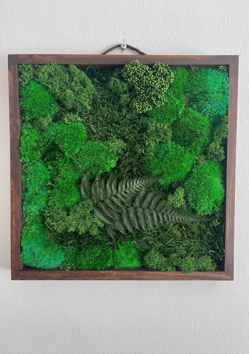 Moss Wall Art Preserved Moss Art Framed Square Frame Etsy