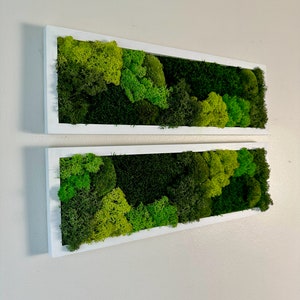 Moss Wall Art | Preserved Moss Art Framed | Moss Wall Decor | Moss Wall Sets | Rectangle Single to Six Set | Green Reindeer Moss Pole Moss