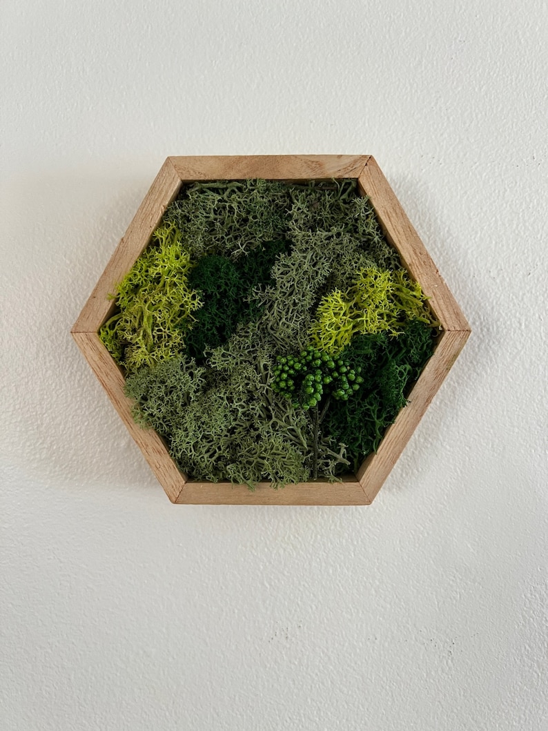 May include: A hexagonal wooden frame with a variety of preserved green moss inside. The moss is arranged in a natural, organic pattern.