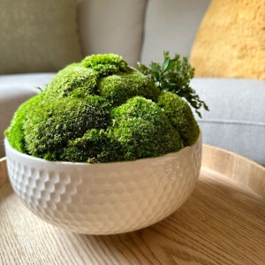 May include: A white ceramic bowl with a textured surface, filled with a green moss arrangement. The bowl is sitting on a wooden surface.