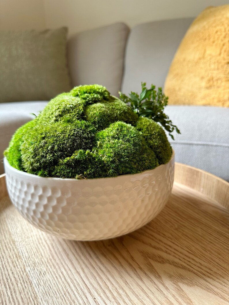 May include: A white ceramic bowl with a textured surface, filled with a green moss arrangement. The bowl is sitting on a wooden surface.