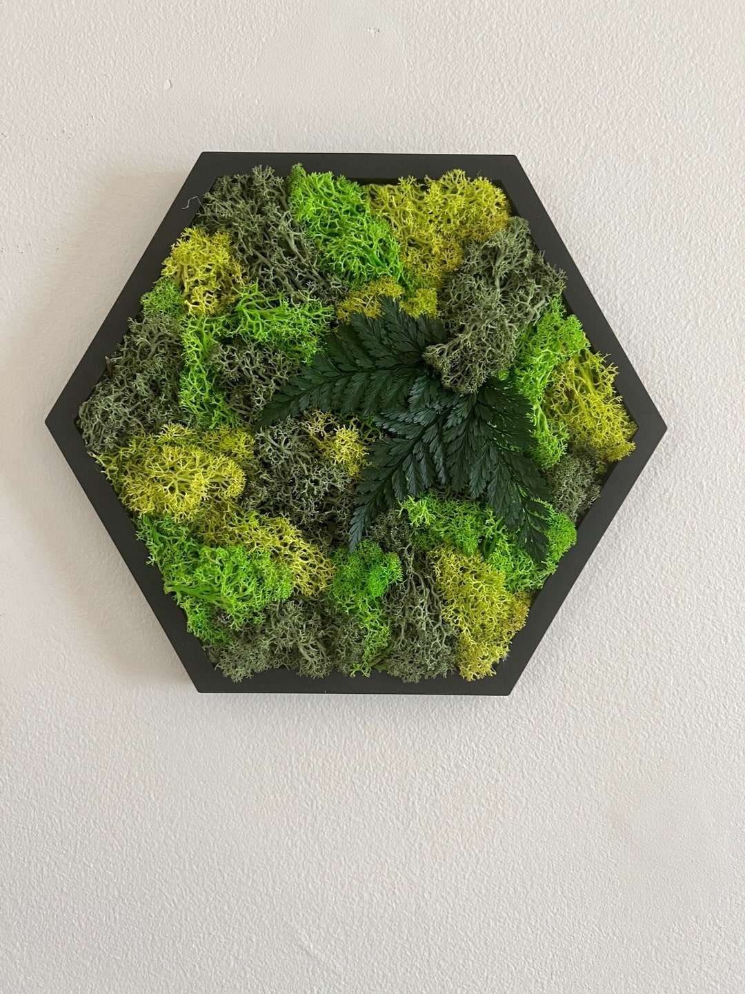 Moss Wall Art Hexagon White or Black Frame Reindeer Moss Etsy UK