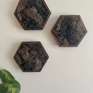 Moos Wandkunst | Bienenwabe Moos |  Wohnkultur | Holz Sechseck |  Schwarz und Braun | Holz und Anthrazit Reindeer Moss