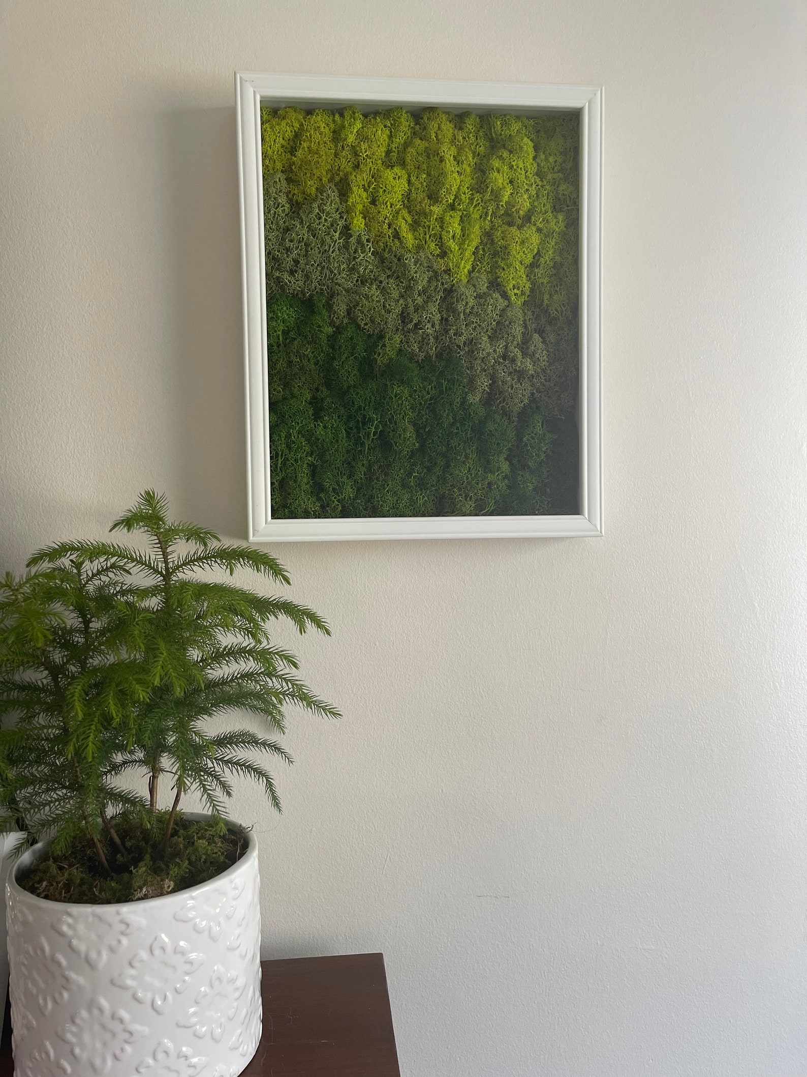 Moss Wall Art Preserved Moss Art Framed moss Wall Hangings Etsy