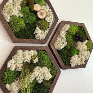 May include: Three hexagonal wall decor pieces with a dark brown wood frame. Each frame is filled with preserved moss and lichen in shades of green and white.