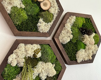 May include: Three hexagonal wall decor pieces with a dark brown wood frame. Each frame is filled with preserved moss and lichen in shades of green and white.