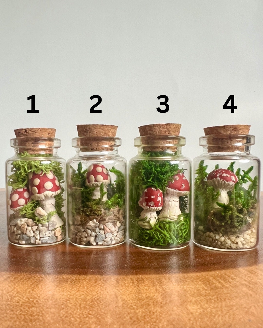 Mini Moss Terrarium Reindeer Moss Clay Polymer Mushrooms Preserved