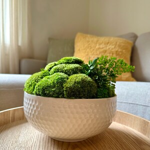 May include: A white ceramic bowl with a textured surface, filled with a green moss arrangement. The bowl is sitting on a wooden tray.