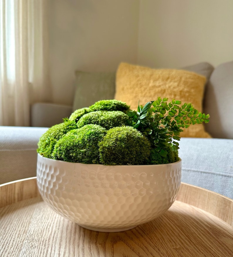 May include: A white ceramic bowl with a textured surface, filled with a green moss arrangement. The bowl is sitting on a wooden tray.