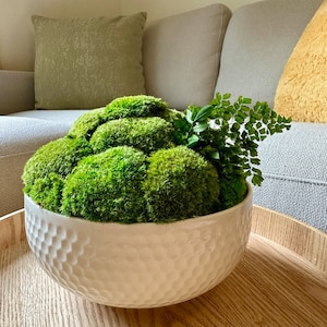 May include: A white ceramic bowl with a textured surface filled with preserved moss and a small green fern plant. The bowl is sitting on a wooden table.
