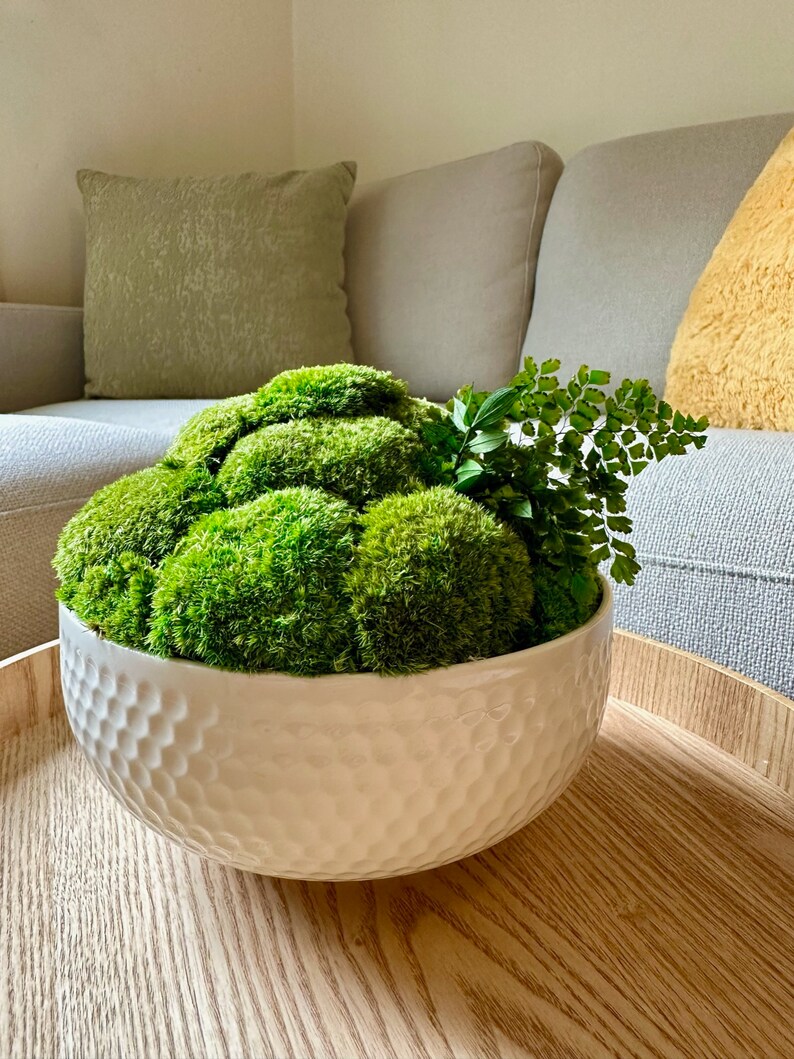 May include: A white ceramic bowl with a textured surface filled with preserved moss and a small green fern plant. The bowl is sitting on a wooden table.