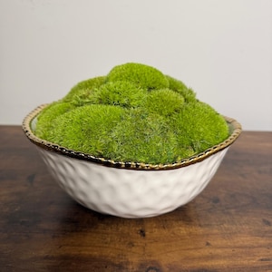Centre de table en mousse préservée : Coupe ronde blanche et dorée, mousse grimpante. Commandes USA - Droits de douane prépayés.