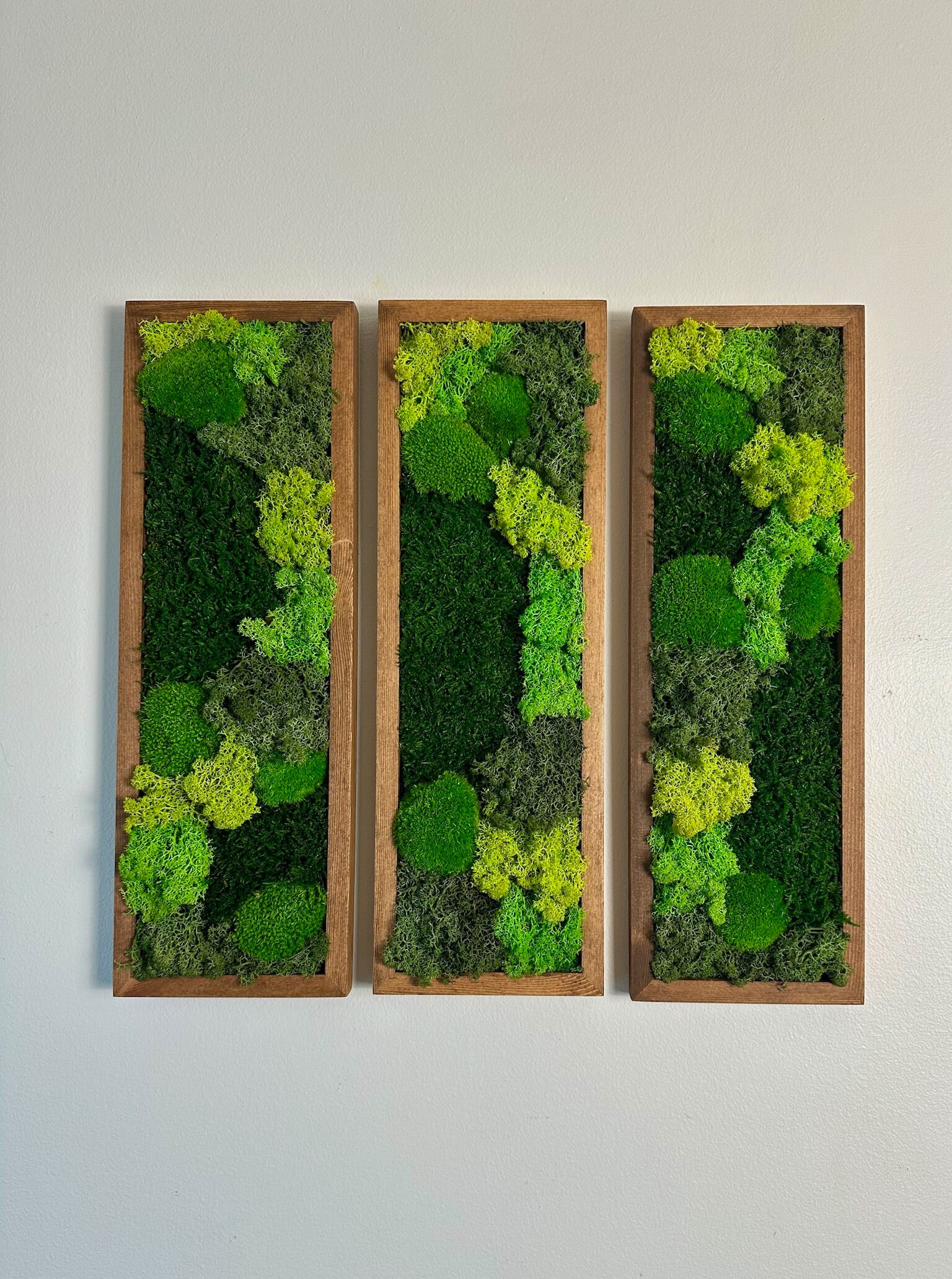 Moss Wall Art | Preserved Moss Art Framed | Moss Wall Decor | Moss Wall Sets | Rectangle Single to Six Set | Green Reindeer Moss Pole Moss