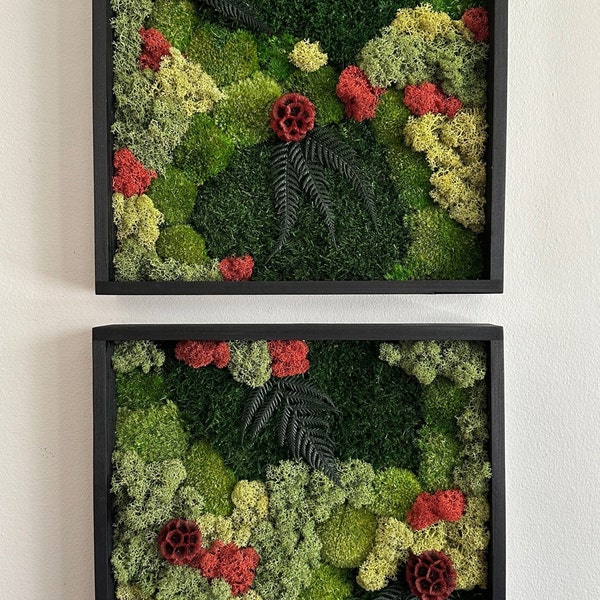 Moss Wall Art | Preserved Moss Framed | Moss Wall Decor | Square Frame | Pole Moss with Preserved Flowers, Fern with Reindeer Moss