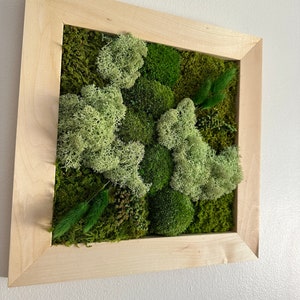 Moss Wall Art | Preserved Moss Art Framed | Square Frame | Green Moss Pole Moss with Preserved Fern and Flowers