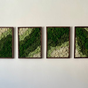Moss Wall Art | Reindeer Moss Wall Decor | Moss Wall Art | Set of 1 - 4 | Rectangle Wood Frame | Canopy and Dark Green, Mint and White
