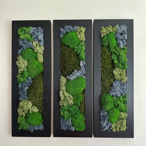 Moss Wall Art | Preserved Moss Art Framed | Moss Wall Decor | Moss Wall Sets | Large Rectangle Single to Six Set | Reindeer Moss Pole Moss
