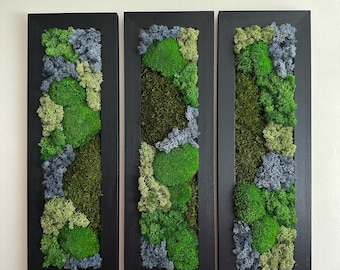 May include: Three black framed wall art pieces with preserved moss in shades of green and gray.