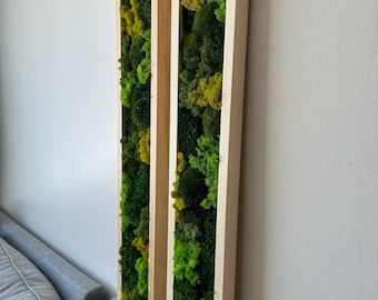 May include: Two vertical framed moss wall art pieces with a natural wood frame. The moss is a mix of green and yellow shades.