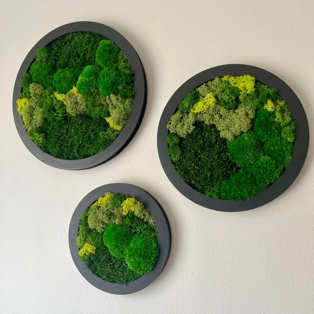 Moss Wall Art Circle Preserved Moss Art Framed Moss Wall Decor Moss Circle Wall Green Reindeer