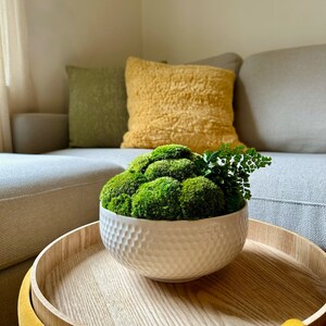 May include: A white ceramic bowl with a textured surface filled with preserved moss balls and a small green fern plant. The bowl is sitting on a wooden tray on a yellow ottoman.