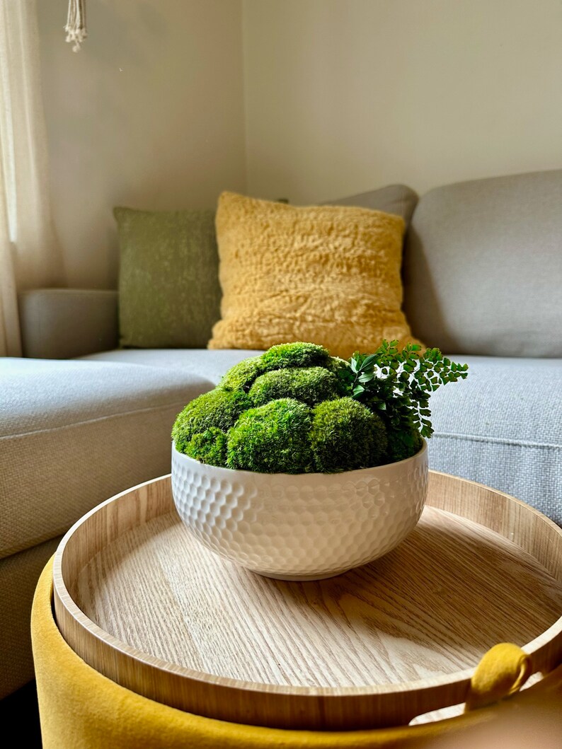 May include: A white ceramic bowl with a textured surface filled with preserved moss balls and a small green fern plant. The bowl is sitting on a wooden tray on a yellow ottoman.