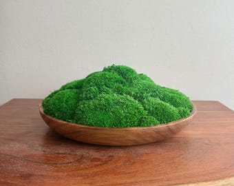 Preserved Moss Centerpiece: Wood Bowl with Reindeer Moss | USA ORDERS - Tariffs/Duties Prepaid