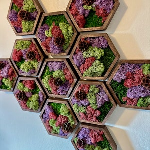 Moss Wall Art | Honeycomb Moss Decor | Single to Set of Twelve | Wood Hexagon  | Reindeer and Sheet Moss | Preserved Scabiosa | Mothers Day