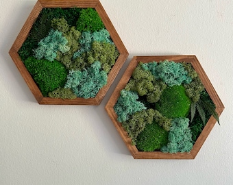 May include: Two hexagonal wall decor pieces with a wooden frame and a variety of green preserved moss inside.