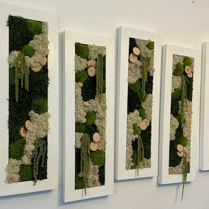 Moss Wall Art | Preserved Moss Art Framed | Moss Wall Decor | Moss Wall Sets | Large Rectangle Single to Six Set | Reindeer Moss Pole Moss