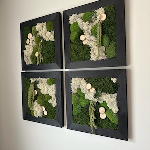 Moss Wall Art | Preserved Moss Art Framed | Square Frame | Green Moss Pole Moss Sheet Moss with Preserved Fern and Wood