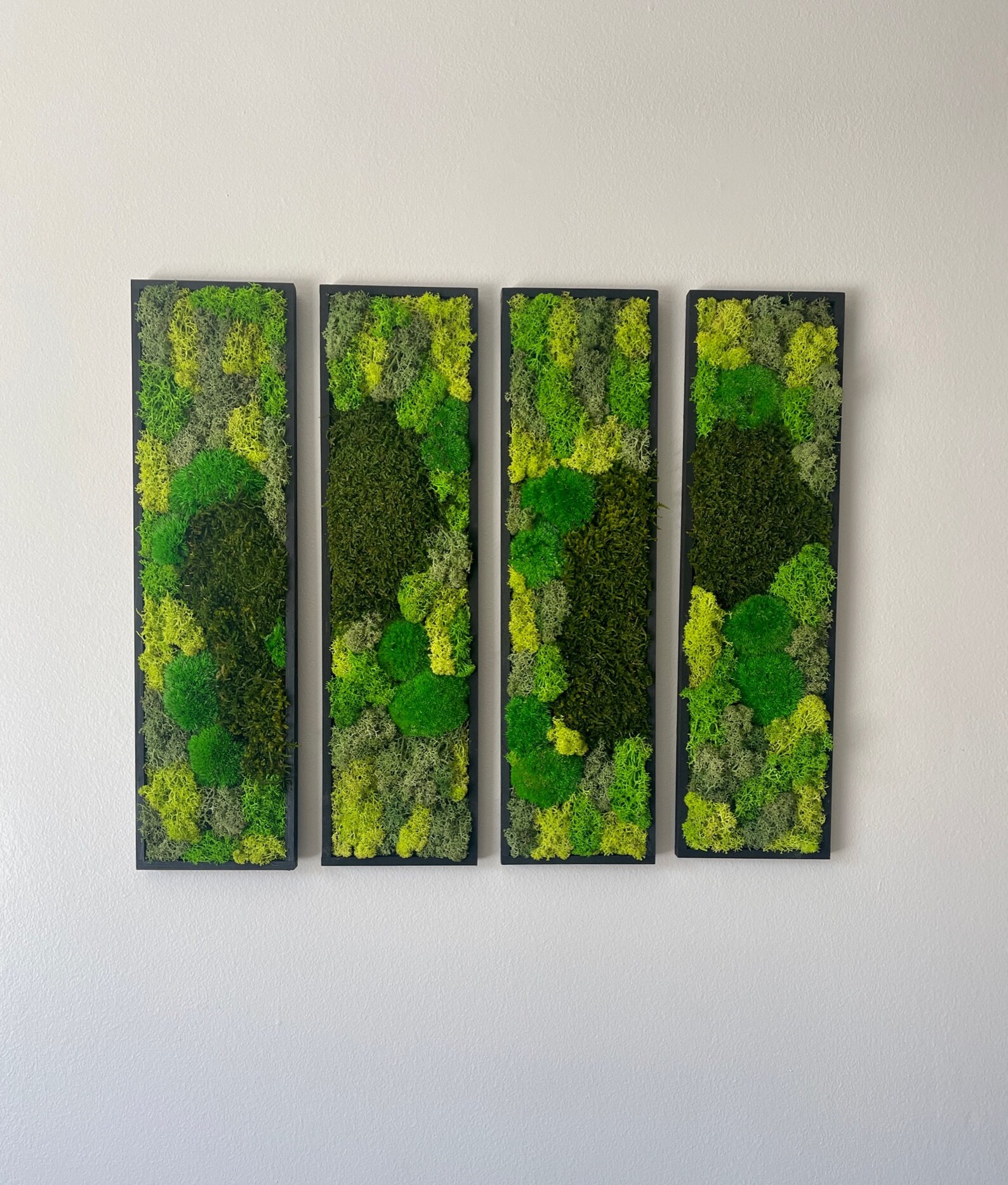 Moss Wall Art Preserved Moss Art Framed Moss Wall Decor Moss Wall Sets
