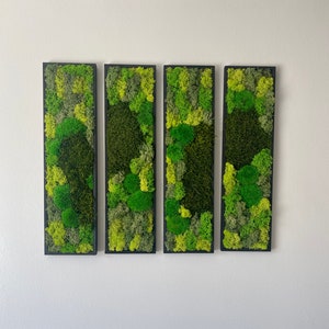 Moss Wall Art Preserved Moss Art Framed Moss Wall Decor Moss Wall Sets Rectangle Single to Six Set Green Reindeer Moss Pole Moss image 10